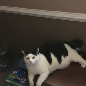 Meet your Posher, Denise